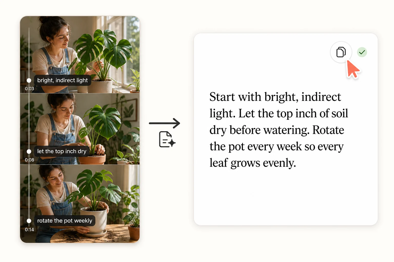 From TikTok Transcript to Ready-to-Use Script